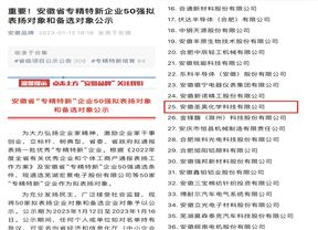 安徽圣奥入选安徽省专精特新企业50强名单