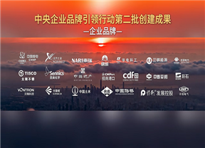 圣奥化学获评中央企业品牌引领行动创建成果