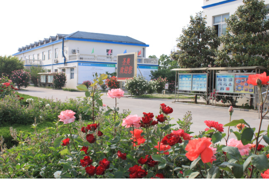 Sennics Tai'an selected into Shandong's inaugural Green Manufacturing Project Databank 