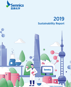 Sennics 2019 Sustainable Development Report