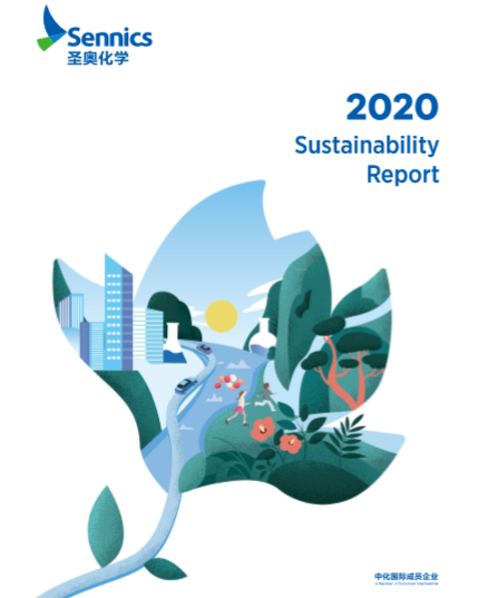 Sennics 2020 Sustainable Development Report